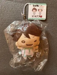 ハイキュー!! 及川徹 にとたん ぬいぐるみ