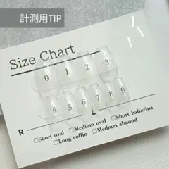 計測用ネイルチップ タイプ別 5種