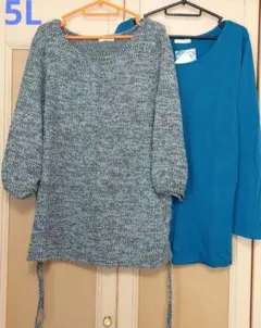 大きいサイズ トップス重ね着2点セット 5L