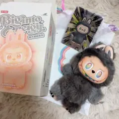 激レア　POP MART LABUBU ラブブシークレット 正規品 2025年最新】popMart labubu シークレットの人気アイテム - メルカリ