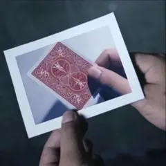 Item thumbnail for item c426c4af-caf8-495b-93e1-c0df1398fa92