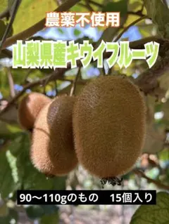 ２　山梨県産　農薬不使用　キウイフルーツ　ヘイワード　グリーンキウイ　15個入り