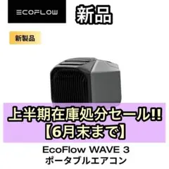 2026年最新】ecoflow wave ポータブルクーラーの人気アイテム - メルカリ