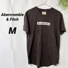 Abercrombie & Fitch 【M】ロゴTシャツ ブラック半袖 メンズ