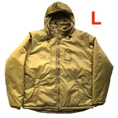 Item thumbnail for item 607c7d79-a0ba-4738-b9cc-560a60aeeff4