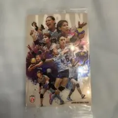 バレーボール 日本代表 JAPAN NATIONAL TEAM カード