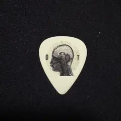 2025年最新】常田 ピックの人気アイテム - メルカリ