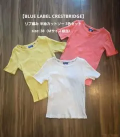 【BLUE LABEL CRESTBRIDGE】リブ編み半袖カットソーセッ卜38のサムネイル