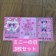 ミニーファンダーランド ミニー リゾートライン リゾラ フリーきっぷ ミニーの日