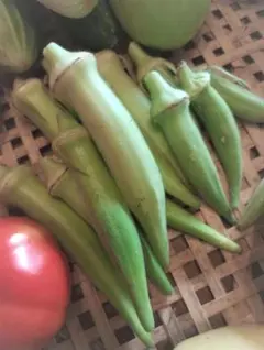 Akira Oketani様 リクエスト 9点 まとめ商品