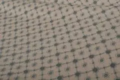 2025年最新】ミナペルホネン アネモネ ピンクベージュの人気アイテム