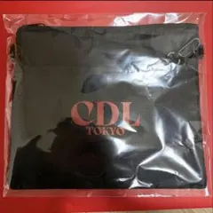 Item thumbnail for item b2098d95-29c8-4838-bdac-2f02707a1450