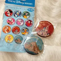 ディズニー　カンバッジコレクション