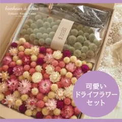 ★5最終＊可愛いドライフラワーセット