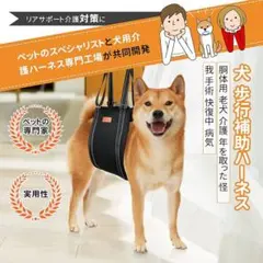 Item thumbnail for item 7500d722-5b44-4b15-94ae-9a425a9d694b