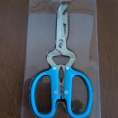 Item thumbnail for item 7e17b759-ea77-4bea-bc50-78d89389a648