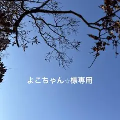 よこちゃん☆様専用ページですm(_ _)m