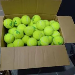 Item thumbnail for item 6773e7e5-2646-489b-9c73-3b5c9fecb2a1