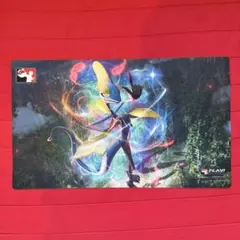 【特価】インテレオン　プレイマット　海外限定