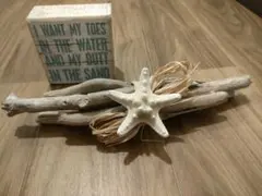 流木インテリア　ハワイ 西海岸インテリア