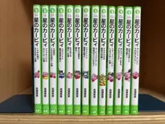星のカービィ 14冊 セット メタナイト デデデ プププ 高瀬美恵 角川 