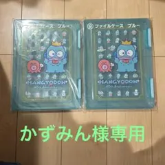 かずみん様専用 ハンギョドンファイルケース2点