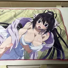 IS インフィニット・ストラトス ラブアンドパージ アニメイト特典 篠ノ之箒