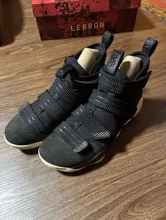 NIKE レブロン16 フォーホースマン 25.5センチ 箱無し - メルカリ
