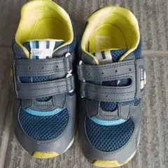 Item thumbnail for item 16f431c1-163f-445b-80cb-af98521809b9