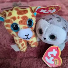 Item thumbnail for item 62f874ff-2057-4ca0-8dc5-f0ce4c2e9f9e