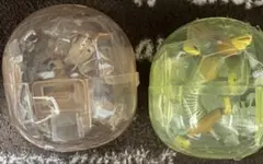 Item thumbnail for item 3bb35d7b-b728-4e43-ba9e-37c9b14d76c8