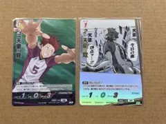 ハイキュー/天童覚/バボカ/頂、Sセット