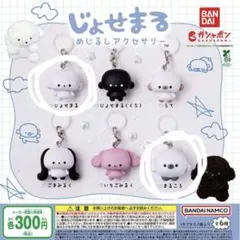 じょせまる めじるしアクセサリー