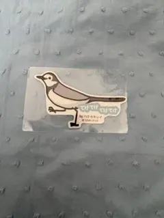 ハクセキレイ　ステッカー
