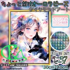 ちょっとだけオーロラビーズ 30×40 ダイヤモンドアート 55-6