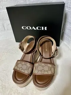 2025年最新】COACH レディース サンダル・ミュールの人気