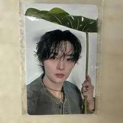 straykids リノ 会場限定 トレカ 5/11 エコパ