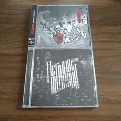 HER NAME IN BLOOD 2枚セットです。