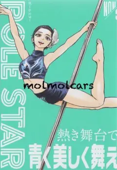 ＰＯＬＥ　ＳＴＡＲ　５　ポール　スター