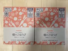 2026年最新】kagome 畑のごほうびの人気アイテム - メルカリ