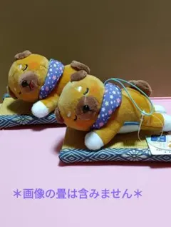 豆柴三兄弟 ぬいぐるみ【未使用タグ付】2体