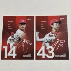 FB33様 リクエスト 2点 まとめ商品