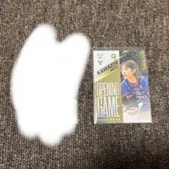 vコレ スポーツカード