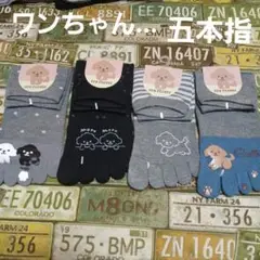 ４足組♪綿混/アニマル柄　 五本指ソックス　 (23～25)