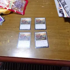 渓間の冒険呼び　４枚セット　日本語