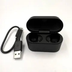 中古/充電ケースのみ/SONY WF-1000XM6/ブラック/黒/け - メルカリ