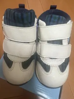 Item thumbnail for item 0281f8f2-878e-4cf9-9a5e-a4826c638c64