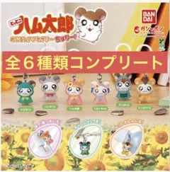 とっとこ　ハム太郎　めじるしアクセサリー　ちゅりー！　全６種類　コンプリート