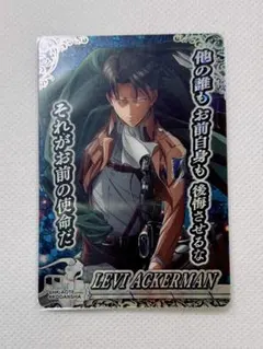 2026年最新】リヴァイSRの人気アイテム - メルカリ