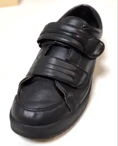 Item thumbnail for item d3ebd7ca-208e-41fe-b927-9d5726001343